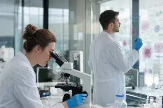 Two scientists collaborating in a modern lab, one using a microscope, the other writing on a transparent board filled with cell diagrams, under soft natural light.