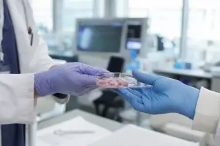 Two researchers, deeply focused, compare stem cell therapy protocols on a large chart in a modern meeting room filled with soft natural light.